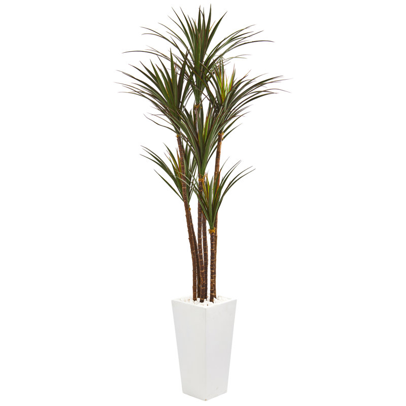 Bayou Breeze Giant Artificial Yucca Tree in Planter & Reviews Wayfair.ca